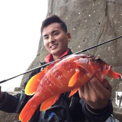 ファーストシーズンライトロック！  出だし好調‼️