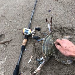 本命とは別の嬉しいもの