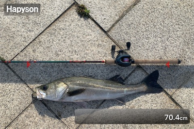 神戸港、デイビッグシーバス！！