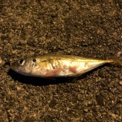 常夜灯周りにて