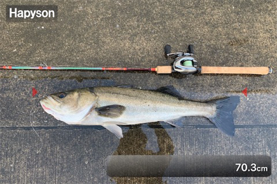 70アップ２日連チャン♫