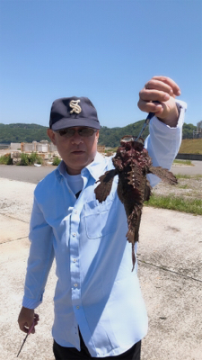 家族フィッシング