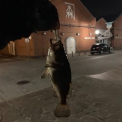 観光スポットにて(^ ^)