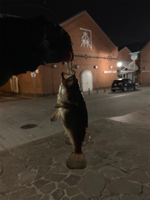 観光スポットにて(^ ^)