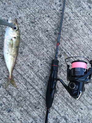 アジングゲーム