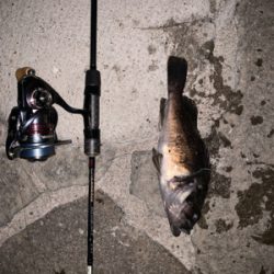 観光スポットにてパート2