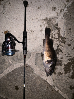 観光スポットにてパート2