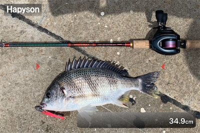 初キビレで三魚種達成♫&こつぶ楽チン♫