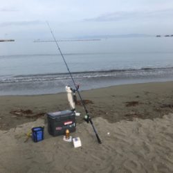 キス釣り楽しい！