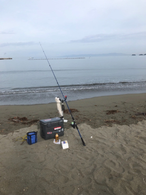 キス釣り楽しい！