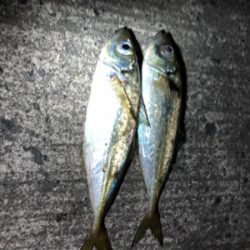 こんなところに