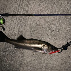 バチ抜けやっときたー！！！