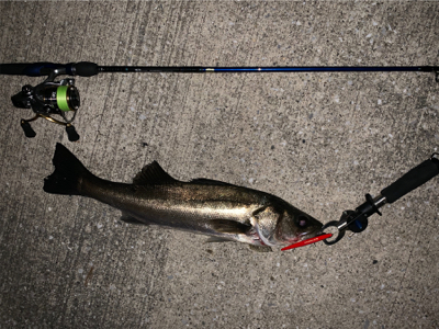 バチ抜けやっときたー！！！