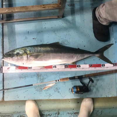 ジギング、初ブリ！