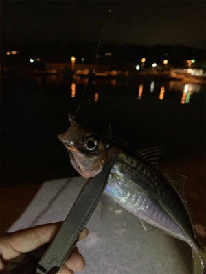 時間を忘れるくらい楽しかった