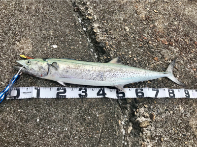 仕事帰りにチョコっと