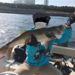 久々のボートシーバス