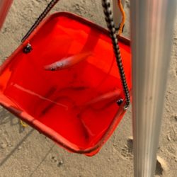 長浜海岸でキス