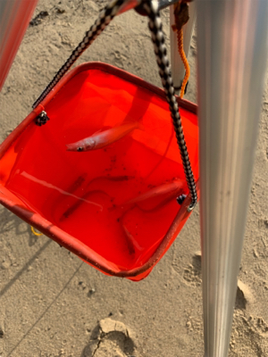 長浜海岸でキス