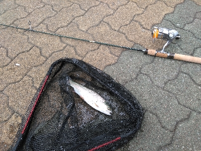 岸和田フィッシングパーク