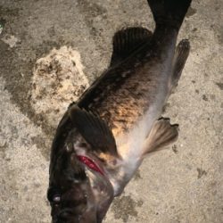 寝不足の日々(-_-)zzz