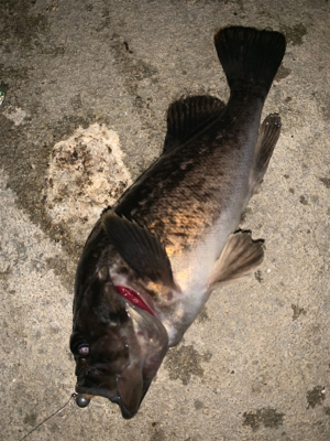 寝不足の日々(-_-)zzz