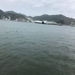 サビキ、サヨリ