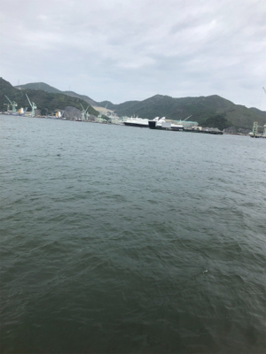 サビキ、サヨリ