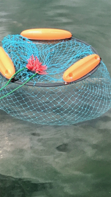 川場キングダムフィッシング