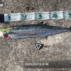 二週連続ムコイチ