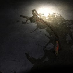 コウイカのつもりが！