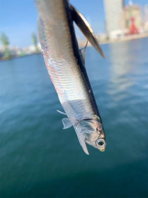 今日もしっかり♫