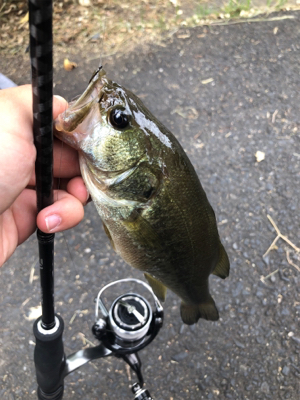 ちょこっと釣り