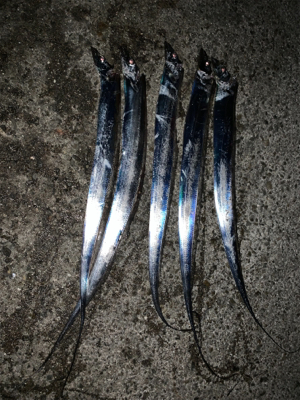 令和初の太刀！