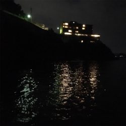 和歌山アジング