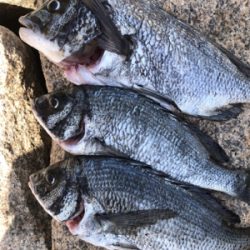 散々からの最高!