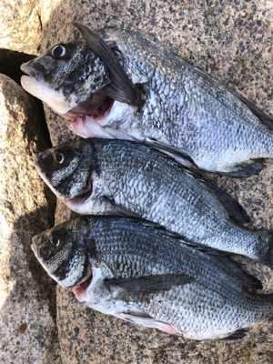 散々からの最高!