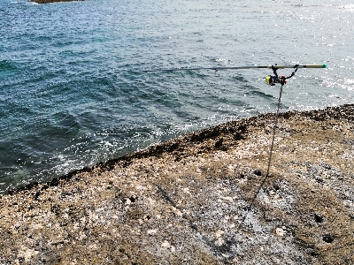 キロオーバー2匹