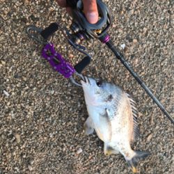 黄チニング無双