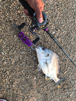 黄チニング無双