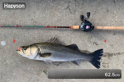 釣って釣らせて( ͡° ͜ʖ ͡°)