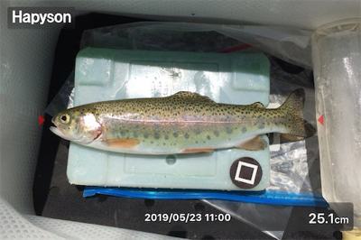 嵐山フィッシングエリア