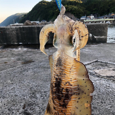 令和初！キロアップ！