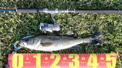 LSJigginger0600〜0730 …