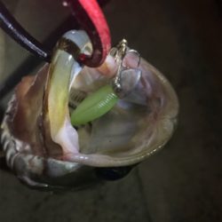 リズムウェーブ