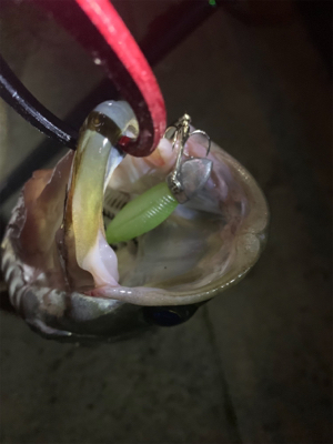 リズムウェーブ