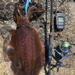 自己記録更新！2kgオーバーGET