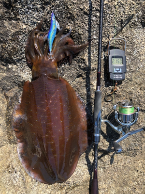 自己記録更新！2kgオーバーGET