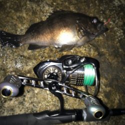 久々メバリング