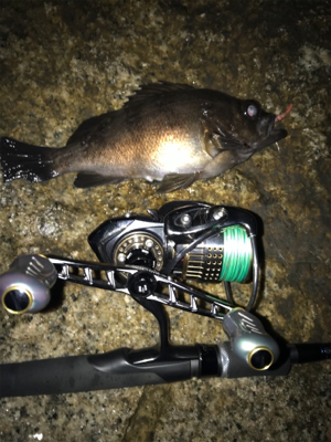 久々メバリング